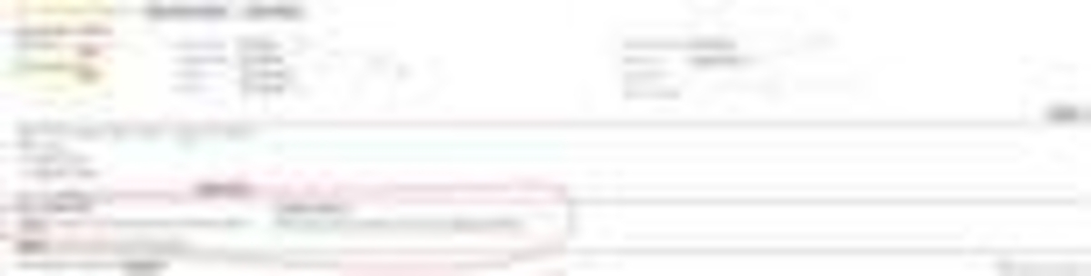 Click 24" (600mm) Wire Whip/Bird Nest Remover