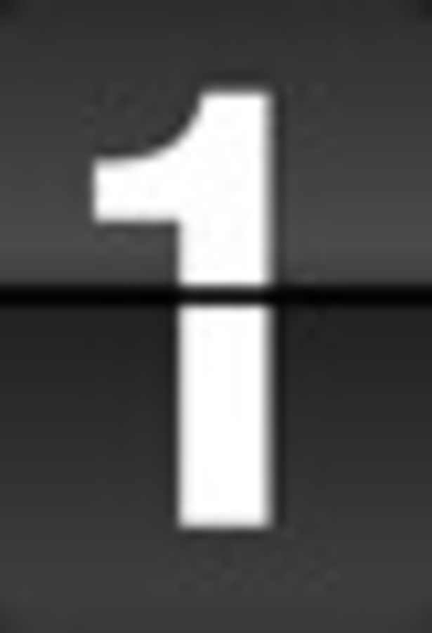 Click 24" (600mm) Wire Whip/Bird Nest Remover