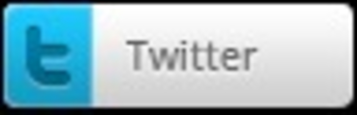 Click 24" (600mm) Wire Whip/Bird Nest Remover