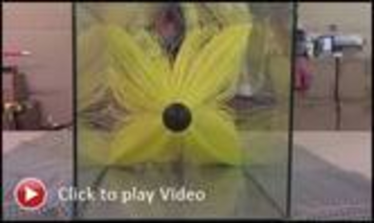 Click 24" (600mm) Wire Whip/Bird Nest Remover