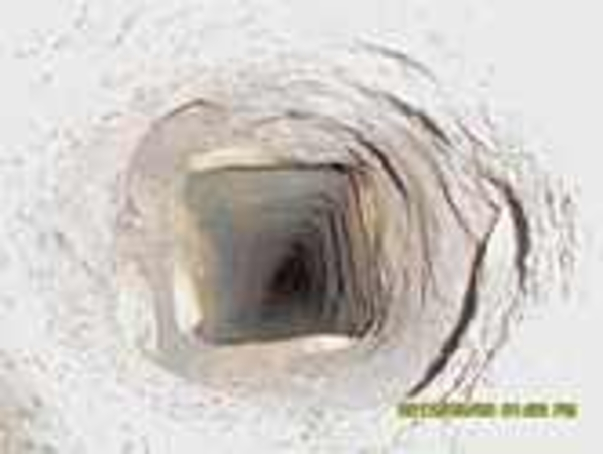 Click 24" (600mm) Wire Whip/Bird Nest Remover