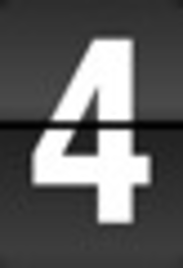 Click 24" (600mm) Wire Whip/Bird Nest Remover