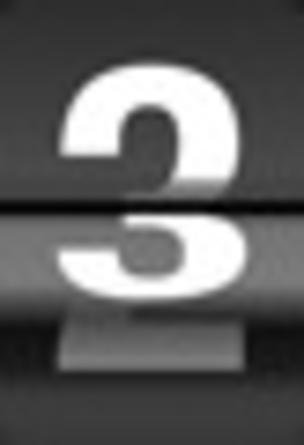 Click 24" (600mm) Wire Whip/Bird Nest Remover