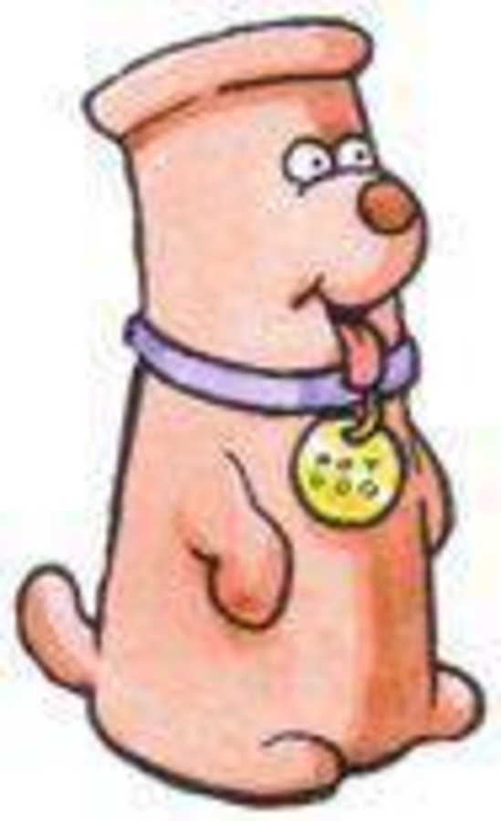 Click 24" (600mm) Wire Whip/Bird Nest Remover