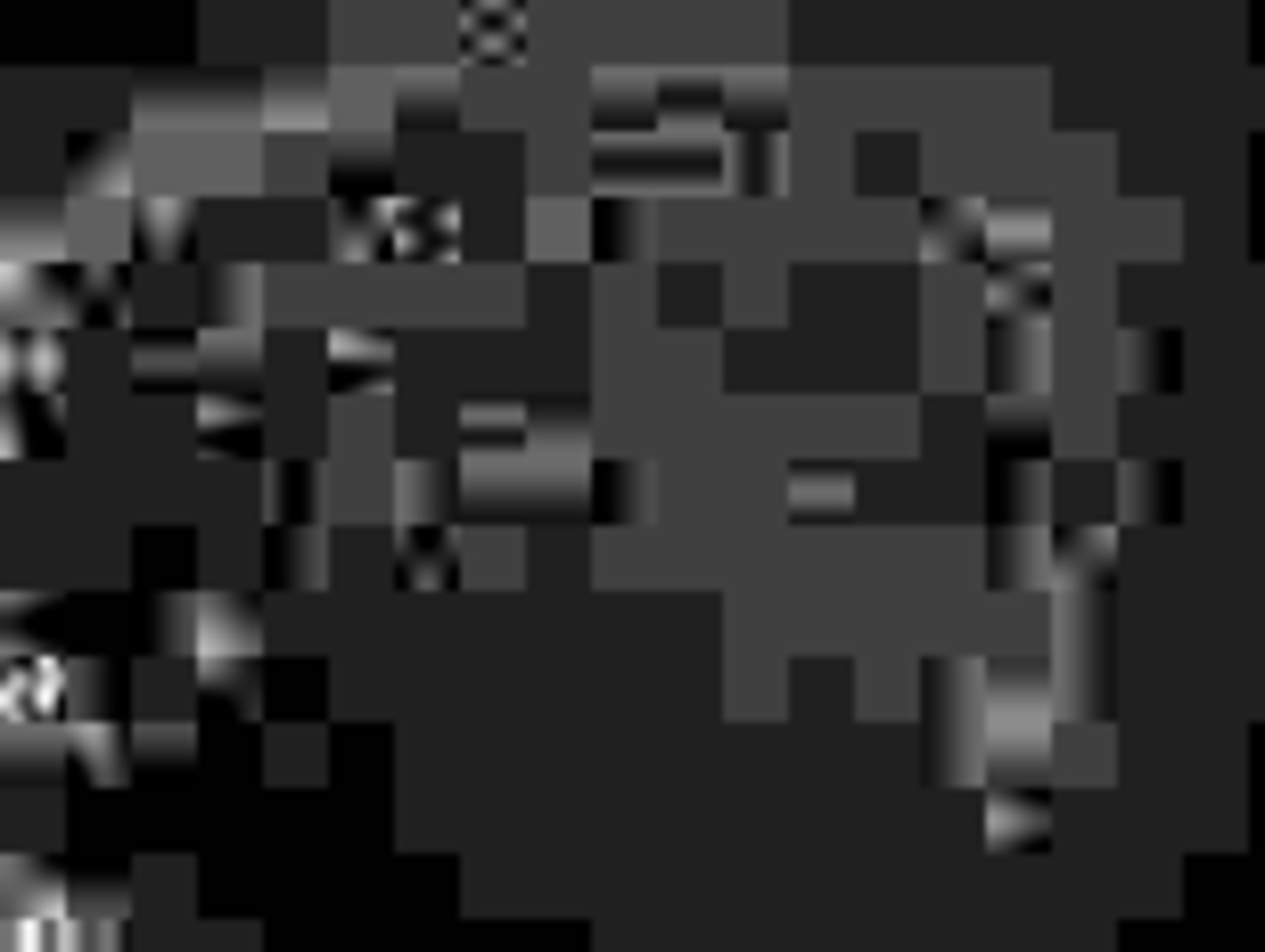 Click 24" (600mm) Wire Whip/Bird Nest Remover