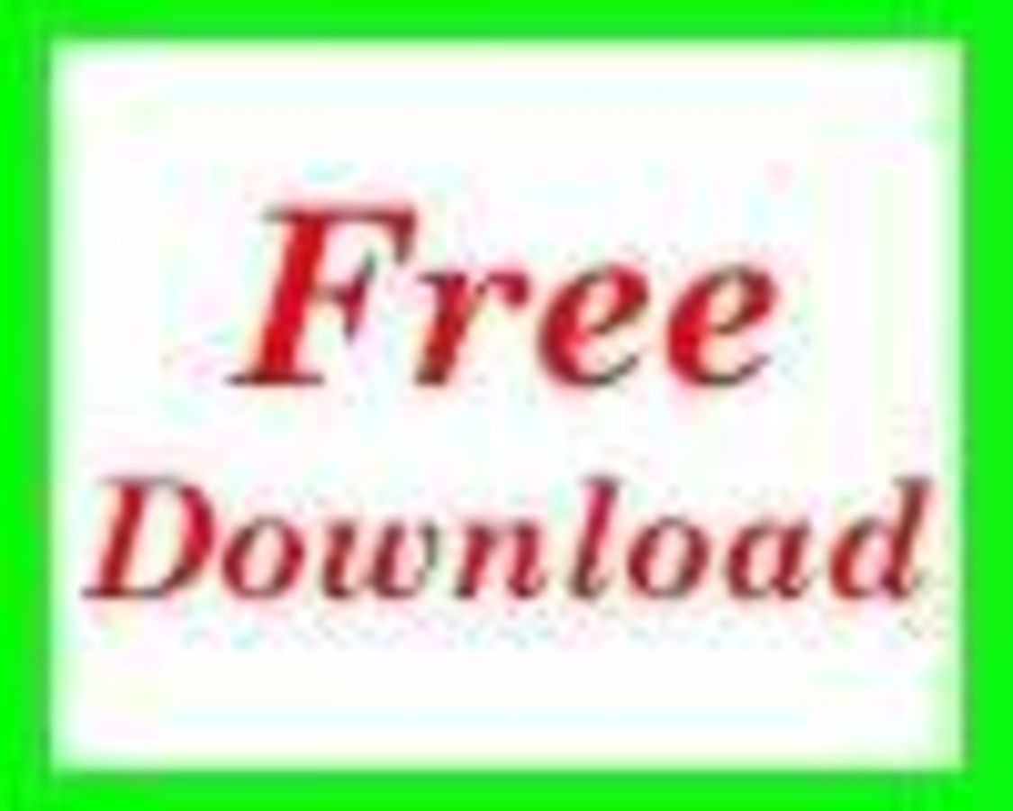 Click 24" (600mm) Wire Whip/Bird Nest Remover