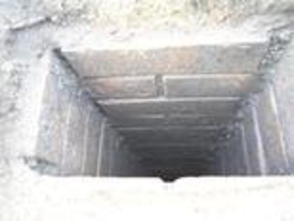 Click 24" (600mm) Wire Whip/Bird Nest Remover