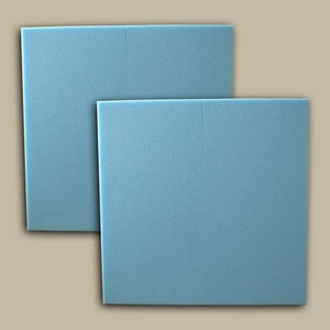 Twin Pack 18 Inch Sponges