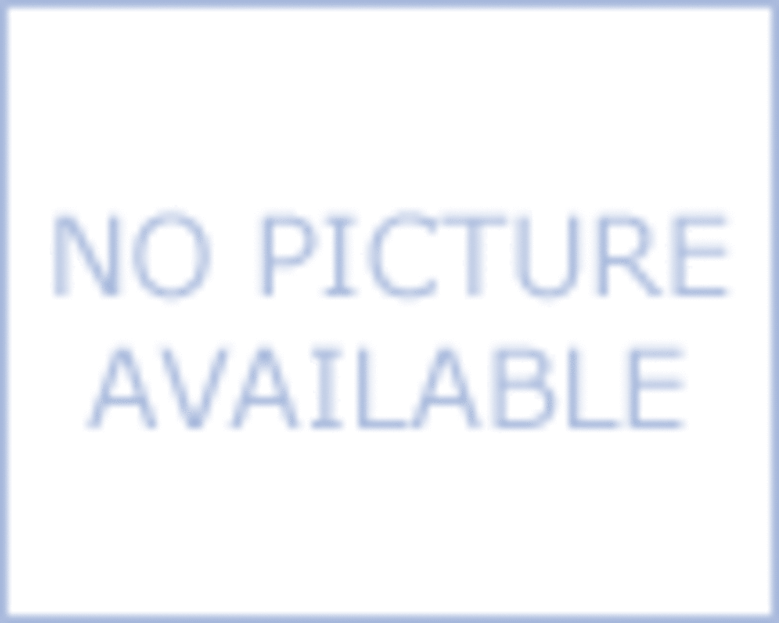 Spray on creosote remover-1 Gallon